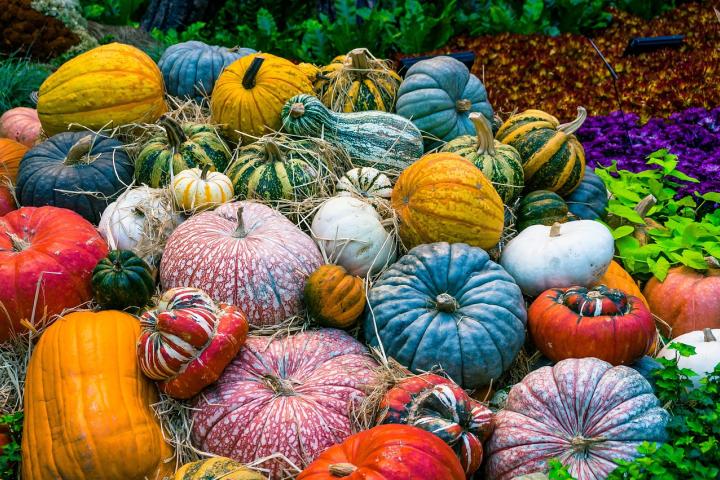 Otoño